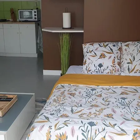 Duguesclin بيت للعطل La Flocellière