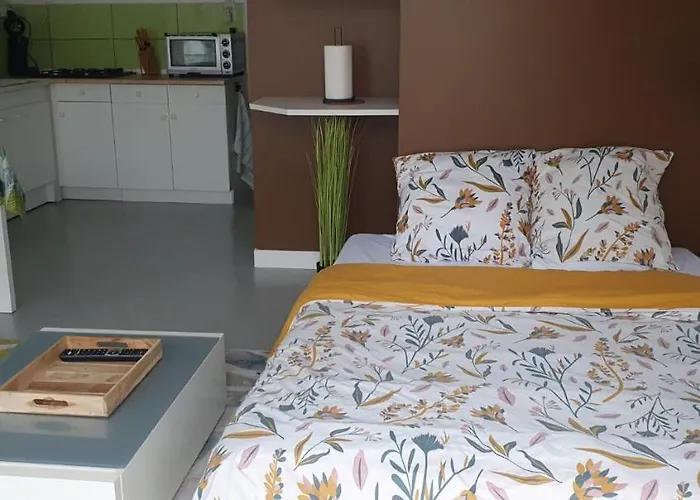 Duguesclin Casa vacanze La Flocellière